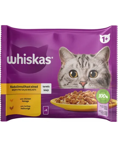 Whiskas (Віскас), вологий корм для дорослих котів, 4х85 г: курка в желе 2х85 г та індичка в желе 2х85 г